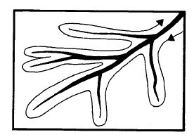 Иллюстрация к книге — Выживание везде и всегда [i_527.jpg]