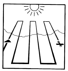 Иллюстрация к книге — Выживание везде и всегда [i_529.jpg]