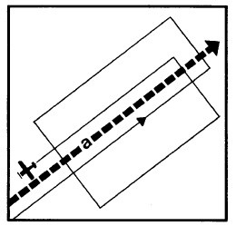 Иллюстрация к книге — Выживание везде и всегда [i_530.jpg]