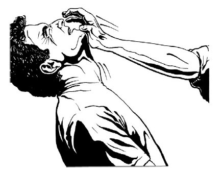 Иллюстрация к книге — Выживание везде и всегда [i_550.jpg]