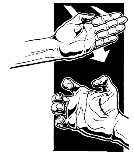 Иллюстрация к книге — Выживание везде и всегда [i_551.jpg]