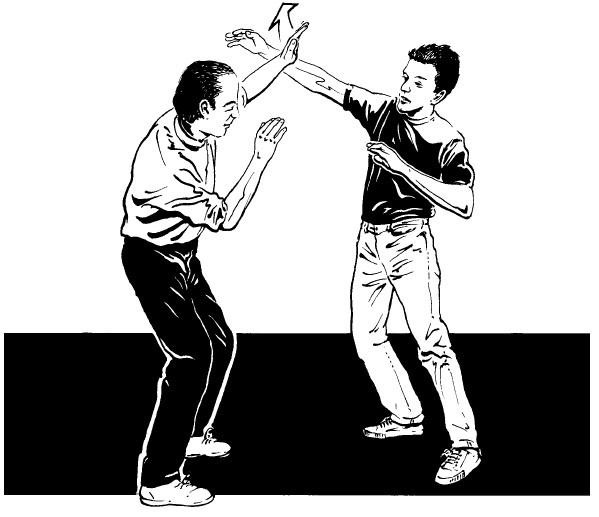 Иллюстрация к книге — Выживание везде и всегда [i_564.jpg]