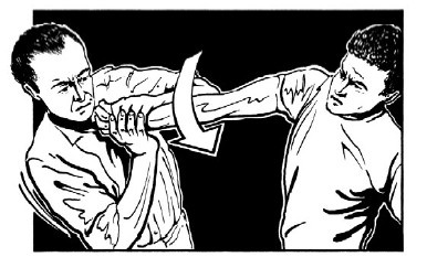 Иллюстрация к книге — Выживание везде и всегда [i_571.jpg]