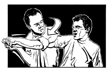 Иллюстрация к книге — Выживание везде и всегда [i_572.jpg]