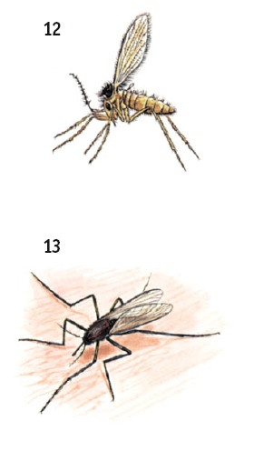 Иллюстрация к книге — Выживание везде и всегда [i_591.jpg]