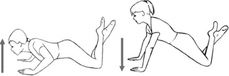 Иллюстрация к книге — Медицина здоровья против медицины болезней другой путь. Как избавиться от гипертонии, диабета и атеросклероза [i_006.jpg]
