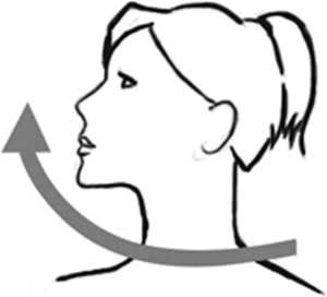 Иллюстрация к книге — Медицина здоровья против медицины болезней другой путь. Как избавиться от гипертонии, диабета и атеросклероза [i_010.jpg]