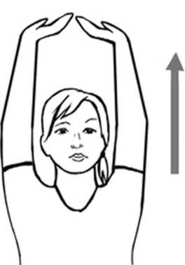 Иллюстрация к книге — Медицина здоровья против медицины болезней другой путь. Как избавиться от гипертонии, диабета и атеросклероза [i_014.jpg]