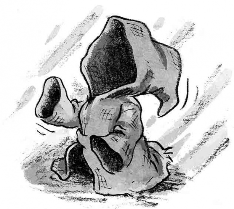 Иллюстрация к книге — Бука [i_008.jpg]