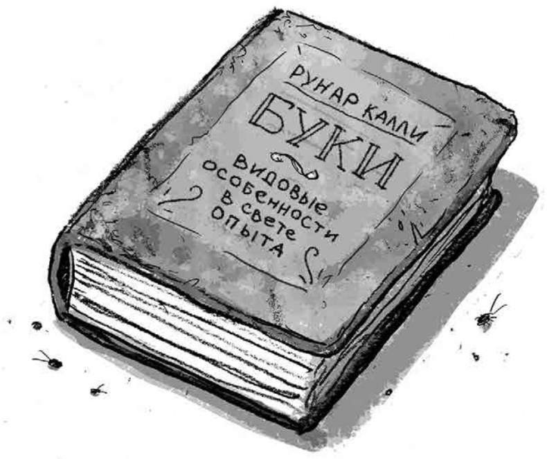 Иллюстрация к книге — Бука [i_010.jpg]