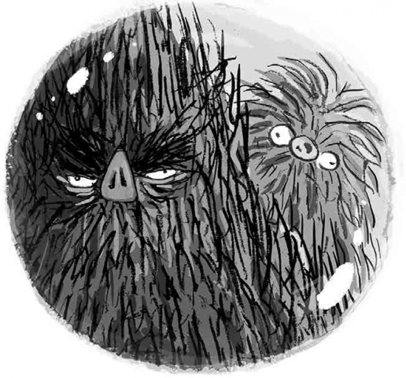 Иллюстрация к книге — Бука [i_030.jpg]