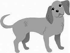 Иллюстрация к книге — Дневник взбалмошной собаки [pic_149.jpg]