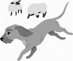 Иллюстрация к книге — Дневник взбалмошной собаки [pic_172.jpg]