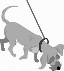 Иллюстрация к книге — Дневник взбалмошной собаки [pic_20.jpg]