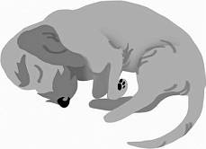 Иллюстрация к книге — Дневник взбалмошной собаки [pic_36.jpg]