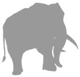 Иллюстрация к книге — Слон [i_007.jpg]