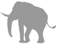 Иллюстрация к книге — Слон [i_010.jpg]