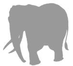 Иллюстрация к книге — Слон [i_012.jpg]