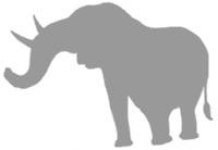 Иллюстрация к книге — Слон [i_016.jpg]