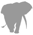 Иллюстрация к книге — Слон [i_020.jpg]