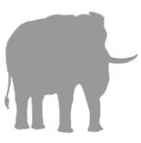 Иллюстрация к книге — Слон [i_029.jpg]