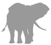 Иллюстрация к книге — Слон [i_031.jpg]