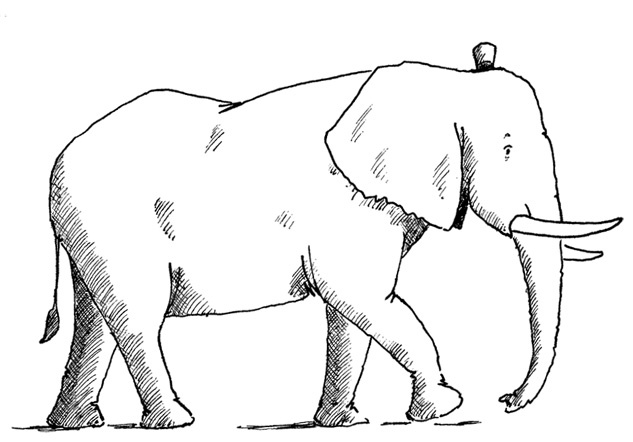 Иллюстрация к книге — Слон [i_032.jpg]