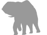 Иллюстрация к книге — Слон [i_041.jpg]