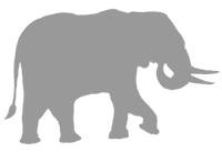 Иллюстрация к книге — Слон [i_045.jpg]