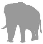 Иллюстрация к книге — Слон [i_047.jpg]