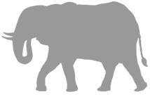 Иллюстрация к книге — Слон [i_053.jpg]