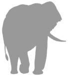 Иллюстрация к книге — Слон [i_055.jpg]