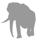 Иллюстрация к книге — Слон [i_056.jpg]