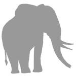 Иллюстрация к книге — Слон [i_061.jpg]