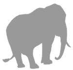 Иллюстрация к книге — Слон [i_064.jpg]