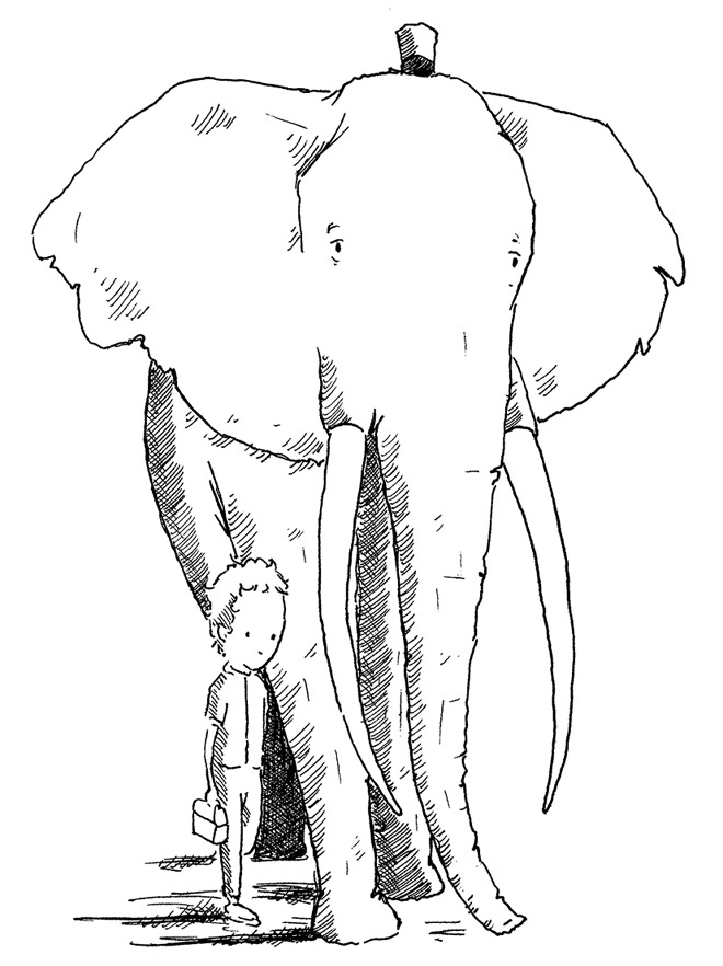 Иллюстрация к книге — Слон [i_066.jpg]