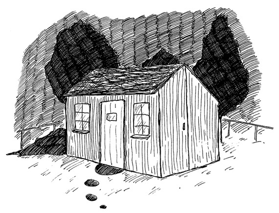 Иллюстрация к книге — Слон [i_073.jpg]