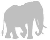 Иллюстрация к книге — Слон [i_074.jpg]