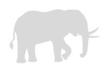 Иллюстрация к книге — Слон [i_076.jpg]