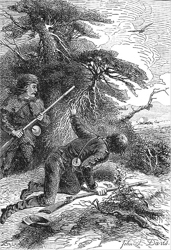 Иллюстрация к книге — Отважная охотница [i_014.jpg]