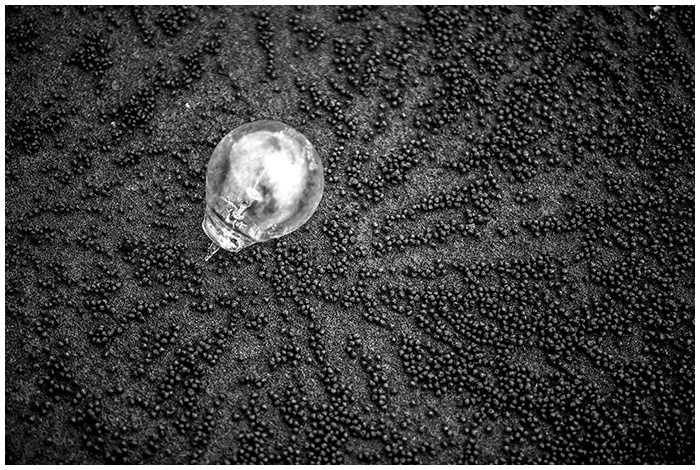 Иллюстрация к книге — Вопросы — это ответы [i_030.jpg]