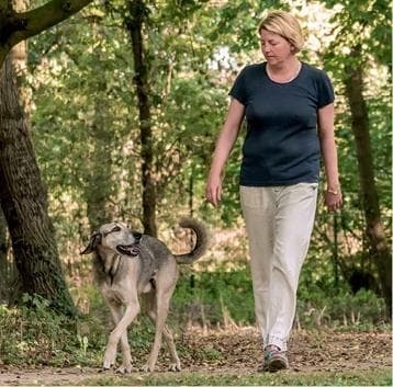 Иллюстрация к книге — Идеальная собака не выгуливает хозяина. Как воспитать собаку без вредных привычек [i_004.jpg]