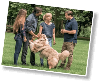 Иллюстрация к книге — Идеальная собака не выгуливает хозяина. Как воспитать собаку без вредных привычек [i_007.jpg]