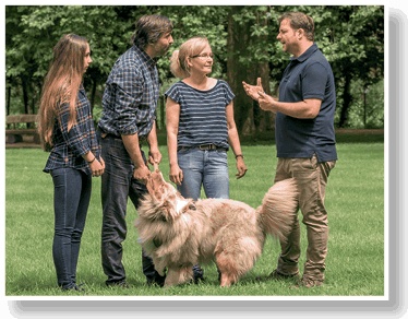 Иллюстрация к книге — Идеальная собака не выгуливает хозяина. Как воспитать собаку без вредных привычек [i_008.jpg]