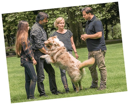 Иллюстрация к книге — Идеальная собака не выгуливает хозяина. Как воспитать собаку без вредных привычек [i_009.jpg]