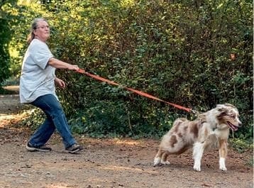 Иллюстрация к книге — Идеальная собака не выгуливает хозяина. Как воспитать собаку без вредных привычек [i_011.jpg]