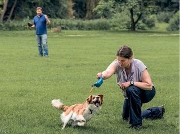 Иллюстрация к книге — Идеальная собака не выгуливает хозяина. Как воспитать собаку без вредных привычек [i_027.jpg]