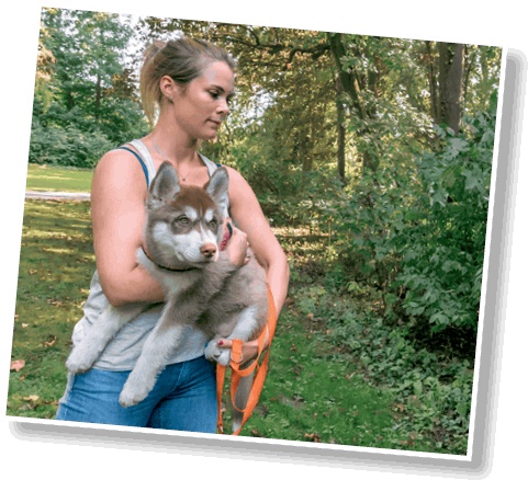 Иллюстрация к книге — Идеальная собака не выгуливает хозяина. Как воспитать собаку без вредных привычек [i_034.jpg]