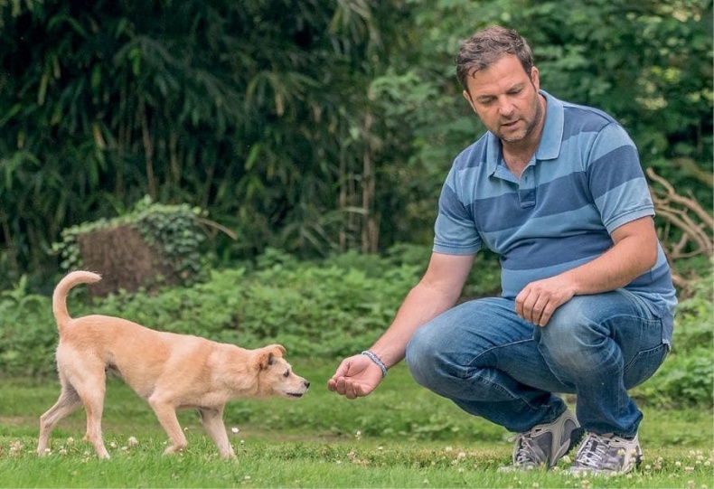 Иллюстрация к книге — Идеальная собака не выгуливает хозяина. Как воспитать собаку без вредных привычек [i_041.jpg]