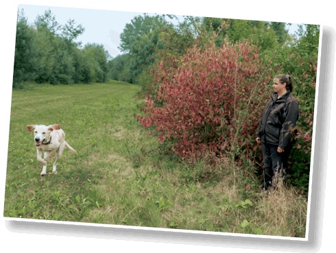 Иллюстрация к книге — Идеальная собака не выгуливает хозяина. Как воспитать собаку без вредных привычек [i_047.jpg]